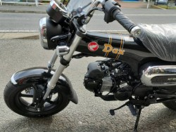 �z���_�_�b�N�X125�i���Q�����R�s�j�摜10