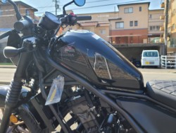z_u250iQRsj摜12
