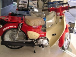 �z���_�X�[�p�[�J�u50�i�����������s�j�摜1