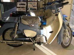 �z���_�X�[�p�[�J�u50�i�����������s�j�摜1