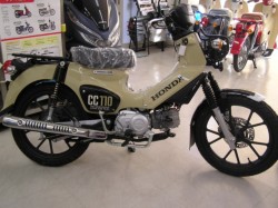 �z���_�N���X�J�u110�i�����������s�j�摜1