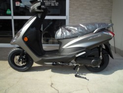 ���}�n�A�N�V�XZ�i���Q�����R�s�j�摜2