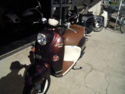 ヤマハビーノ(愛媛県松山市)画像14