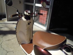 ヤマハビーノ(愛媛県松山市)画像16