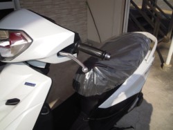 ���}�n�A�N�V�XZ�i���Q�����R�s�j�摜14