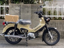 �z���_�N���X�J�u110�i���Q�����R�s�j�摜1