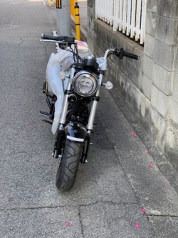 �z���_�W�����m�i���Q�����R�s�j�摜22