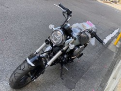 �z���_�W�����m�i���Q�����R�s�j�摜23