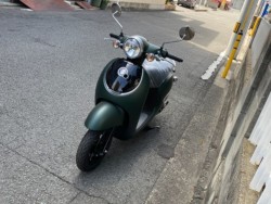 �z���_�W�����m�i���Q�����R�s�j�摜5