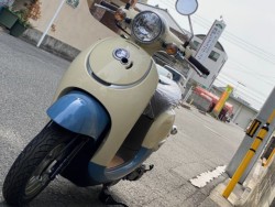 �z���_�W�����m�i���Q�����R�s�j�摜5