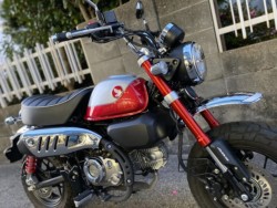 �z���_�����L�[125�i���Q�����R�s�j�摜8