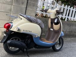 �z���_�W�����m�i���Q�����R�s�j�摜8