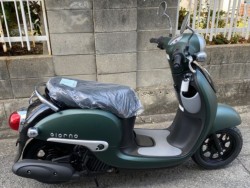 �z���_�W�����m�i���Q�����R�s�j�摜9