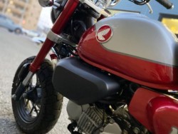 �z���_�����L�[125�i���Q�����R�s�j�摜11