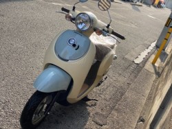 �z���_�W�����m�i���Q�����R�s�j�摜5