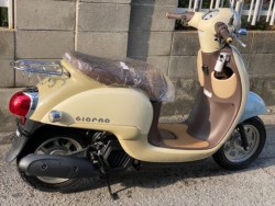 �z���_�W�����m�i���Q�����R�s�j�摜8