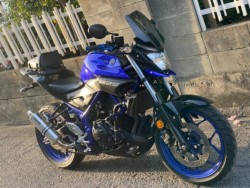 ���}�nMT-25�i���Q�����R�s�j�摜3