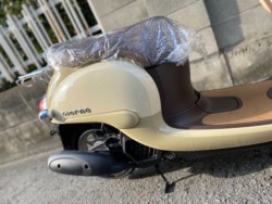 �z���_�W�����m�i���Q�����R�s�j�摜10