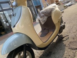 �z���_�W�����m�i���Q�����R�s�j�摜12