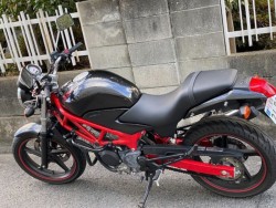 z_VTR250iQRsj摜16