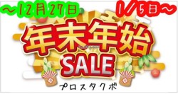 z_L[125iQRsj摜9