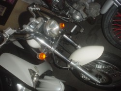 �z���_�}�O�i50�i���Q�����R�s�j�摜1