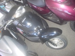 �z���_�^�N�g�E�x�[�V�b�N�i���Q�����R�s�j�摜1