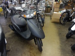 �z���_�f�B�I�i����������s�j�摜1