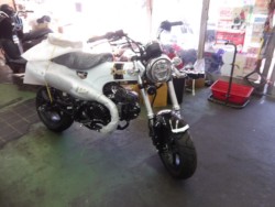 �z���_�_�b�N�X125�i����������s�j�摜1