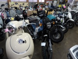 �z���_�N���X�J�u110�i����������s�j�摜1