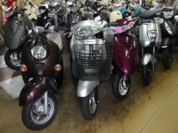 �z���_�^�N�g�E�x�[�V�b�N�i����������s�j�摜1