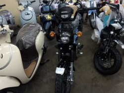 �z���_�N���X�J�u110�i����������s�j�摜3