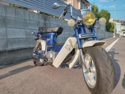 V[50