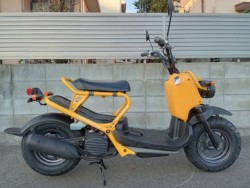 �z���_�Y�[�}�[�i�����������s�j�摜1