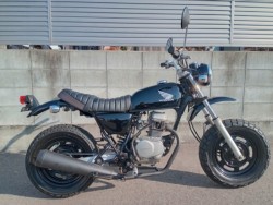 �z���_�G�C�v50�i�����������s�j�摜1