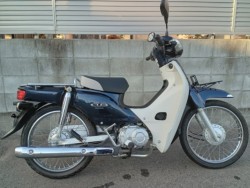 �z���_�X�[�p�[�J�u110�i�����������s�j�摜1