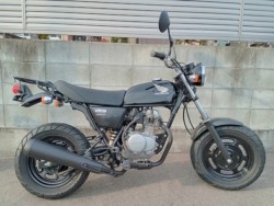 �z���_�G�C�v50�i�����������s�j�摜1