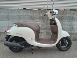 �z���_�W�����m�i�����������s�j�摜1