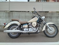 ���}�n&nbsp;�h���b�O�X�^�[250 