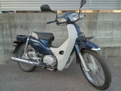 �z���_�X�[�p�[�J�u110�i�����������s�j�摜2