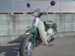 �z���_���g���J�u�i�����������s�j�摜3