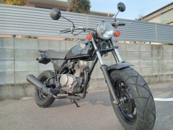 �z���_�G�C�v50�i�����������s�j�摜3