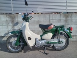 �z���_���g���J�u�i�����������s�j�摜4