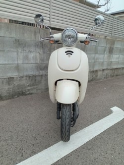 �z���_�W�����m�i�����������s�j�摜3