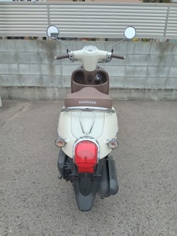 �z���_�W�����m�i�����������s�j�摜4