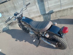 �z���_�G�C�v50�i�����������s�j�摜6