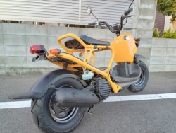 �z���_�Y�[�}�[�i�����������s�j�摜7