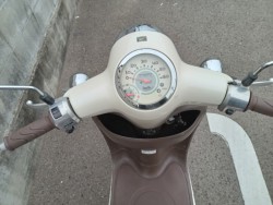 �z���_�W�����m�i�����������s�j�摜5