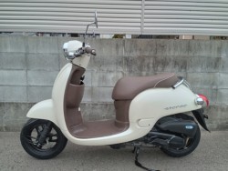 �z���_�W�����m�i�����������s�j�摜6