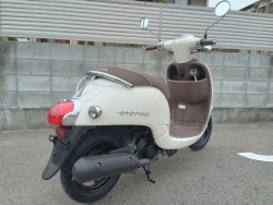 �z���_�W�����m�i�����������s�j�摜7